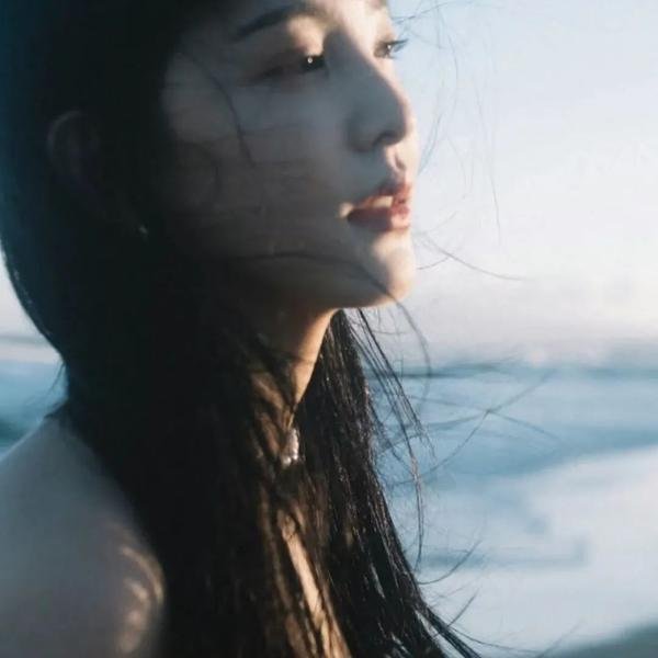 科搜研之女第24季